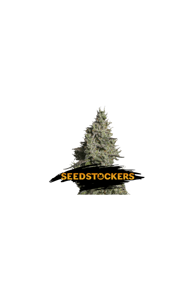 Moby Dick, Фасовка: 1, изображение 3